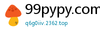 99pypy.com
